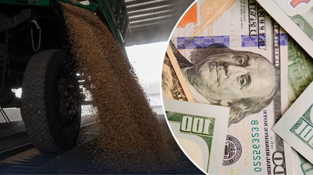 Експорт кукурудзи, зерна та сої — чому втрачаються мільярди гривень - 285x160