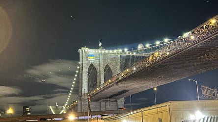 Самые выдающиеся места Нью-Йорка подсветили сине-желтым цветом - 285x160