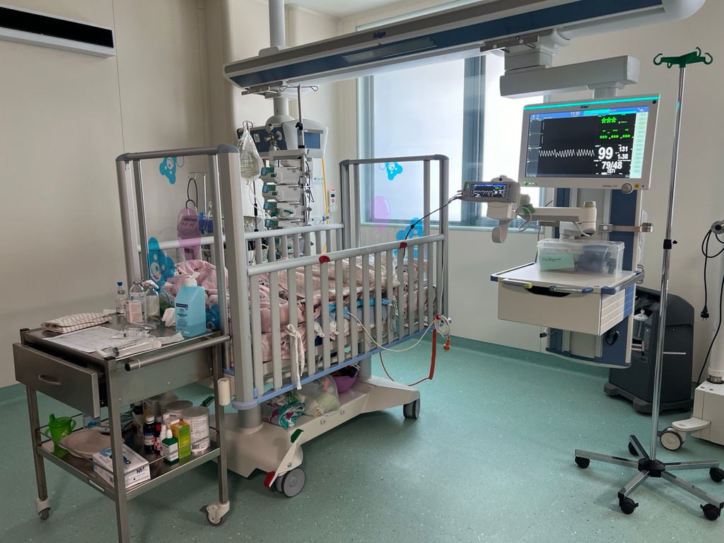 Палата в Охматдиті