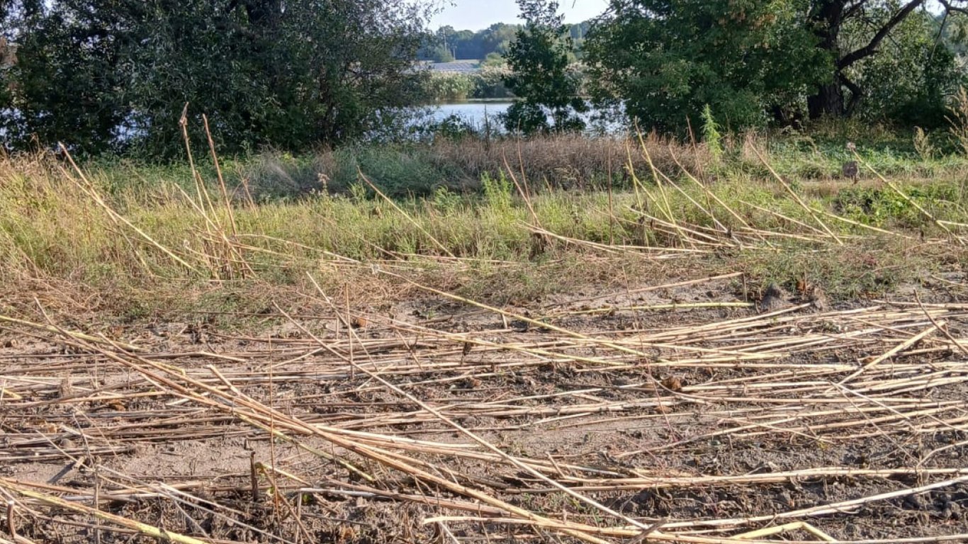 В Одесской области распахивают берега Южного Буга