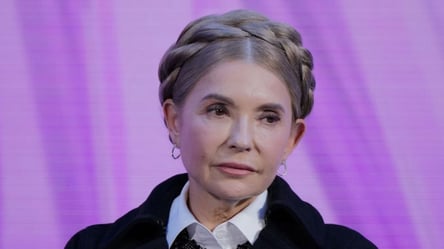 Гончаренко объяснил, почему дело Тимошенко является вызовом - 285x160