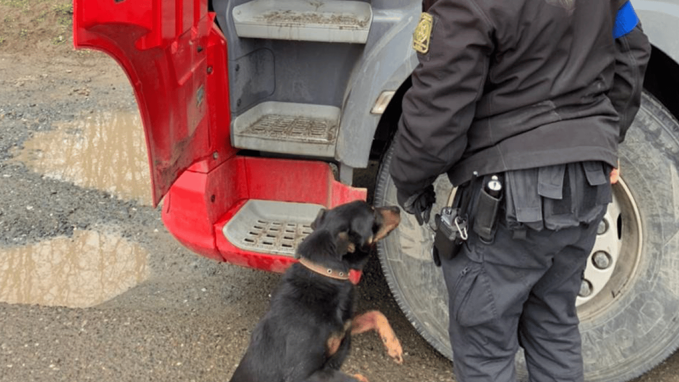 В Одесской области пес-пограничник предотвратил контрабанду