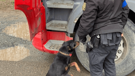 В Одесской области пес-пограничник предотвратил контрабанду - 285x160