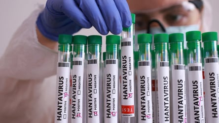 Заражені хантавірусом пасажири роз'їхались по світу: ВООЗ досліджує - 285x160