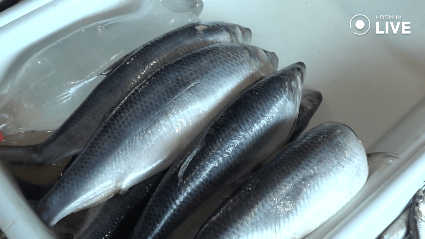 Оселедець на прилавку