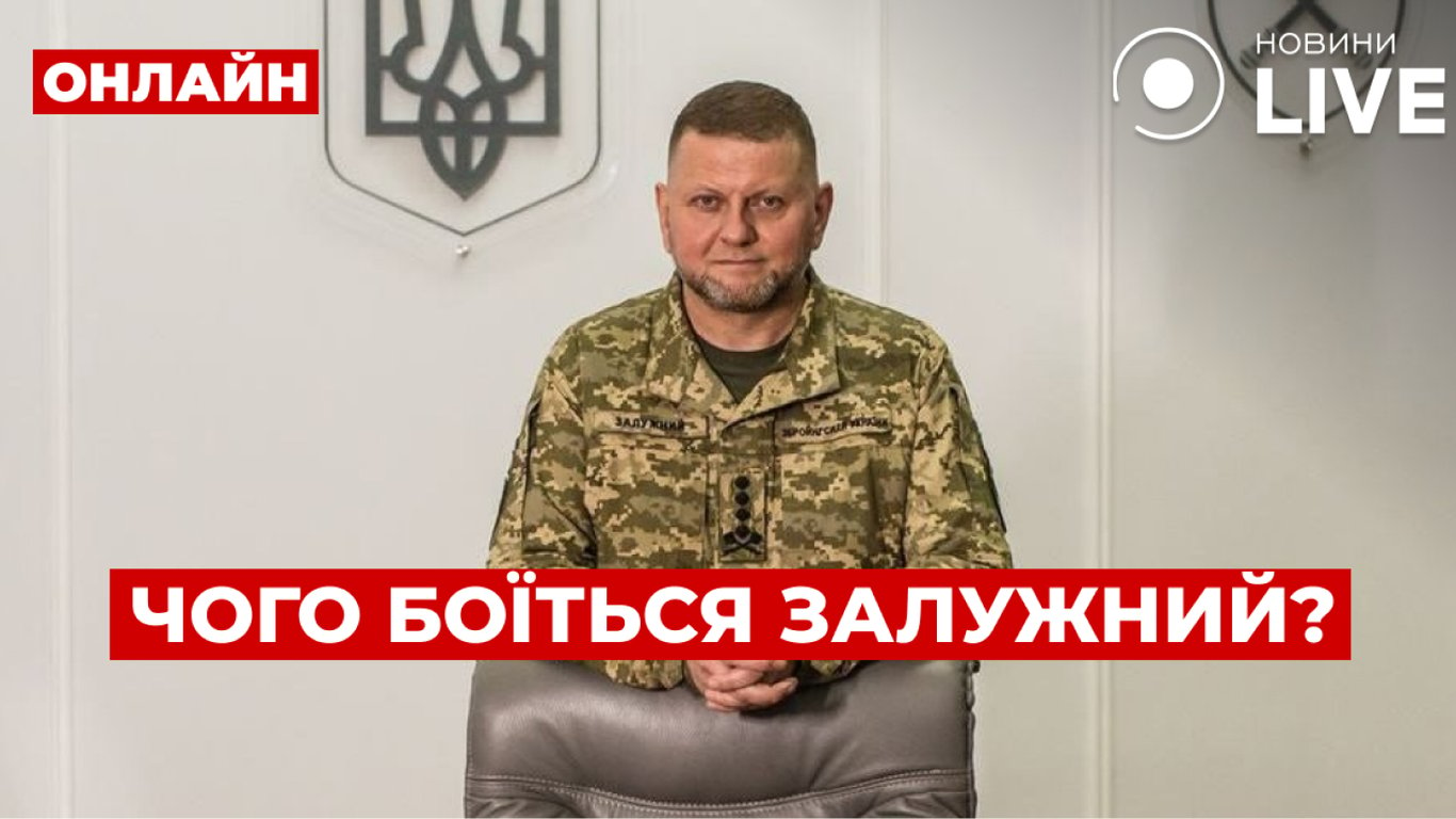 Військовий експерт розповість про важливі заяви Залужного та контрнаступ ЗСУ: ефір Новини.LIVE