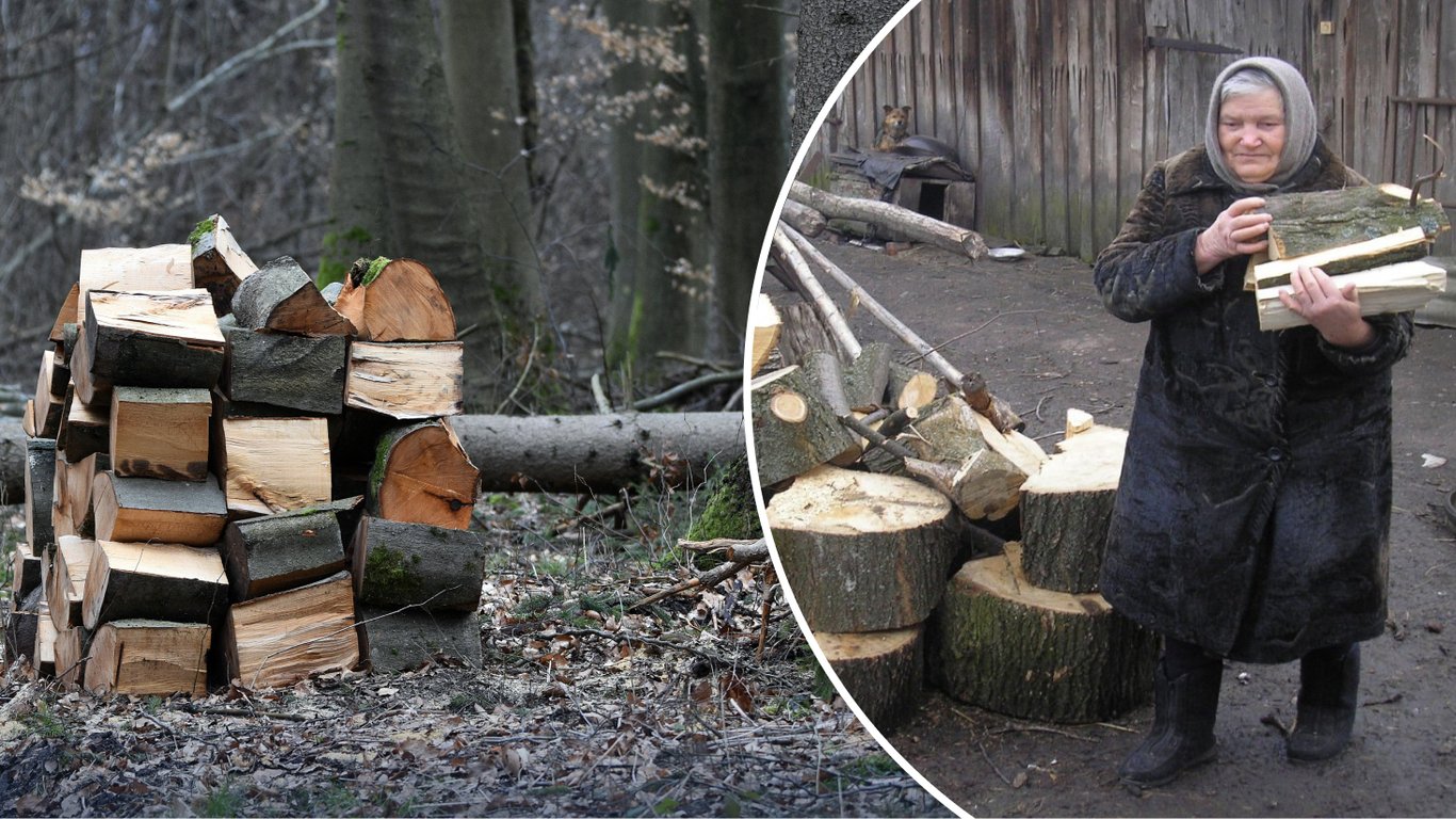 Чи можуть українці без дозволу рубати на дрова самосійні дерева у себе на подвір’ї у 2026 році