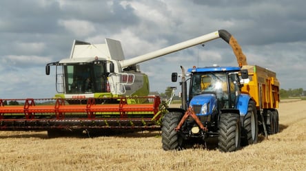Ціни на зерно в Україні — скільки коштує пшениця у травні - 290x166