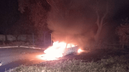 В Мелитополе партизаны взорвали авто с оккупантами-мародерами - 285x160