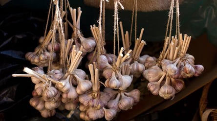 Простой способ хранить лук и чеснок до весны - 285x160