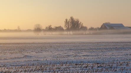 Посев по замерзшей земле — как и когда сеять зимой правильно - 285x160
