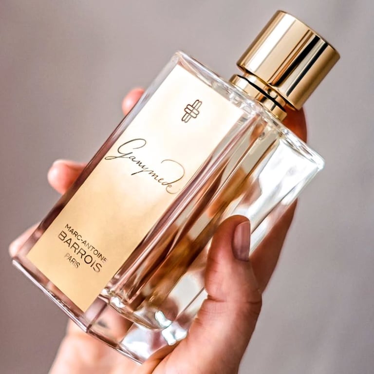 Ganymede by Marc-Antoine Barrois