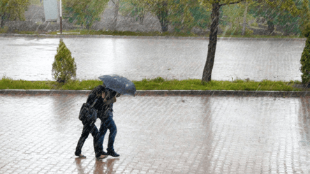 Синоптики рассказали, в каких областях Украины сегодня ожидается дождь с грозами - 285x160