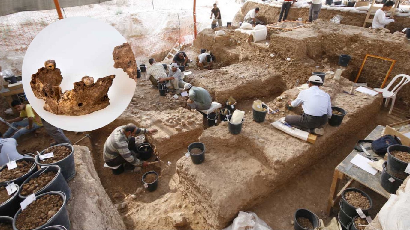 Найдены фрагменты черепа неизвестного вида человека возрастом 140 тысяч лет