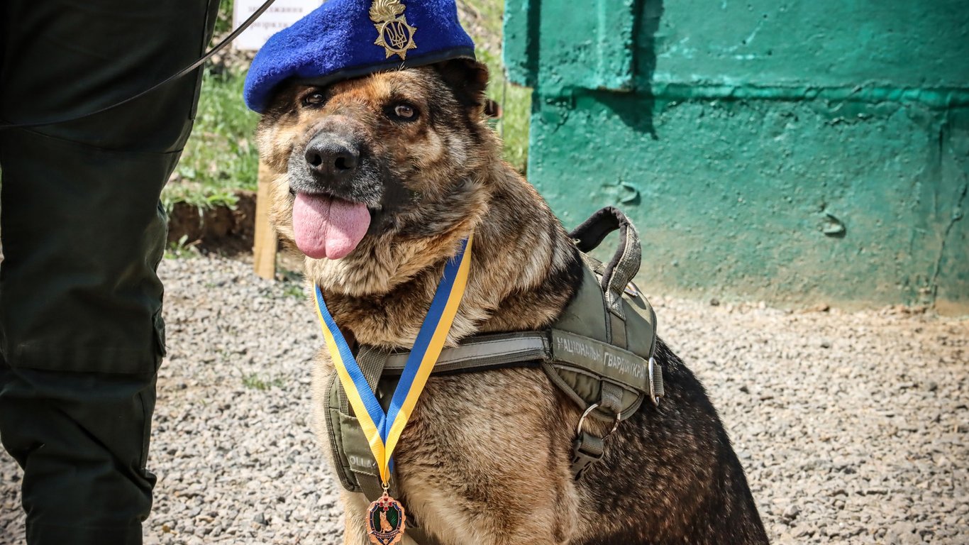 В Одесской области наградили гвардейцев-кинологов и служебную собаку Киру