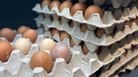 Яйця в АТБ втратили цінову привабливість — скільки коштує одна штука - 290x166