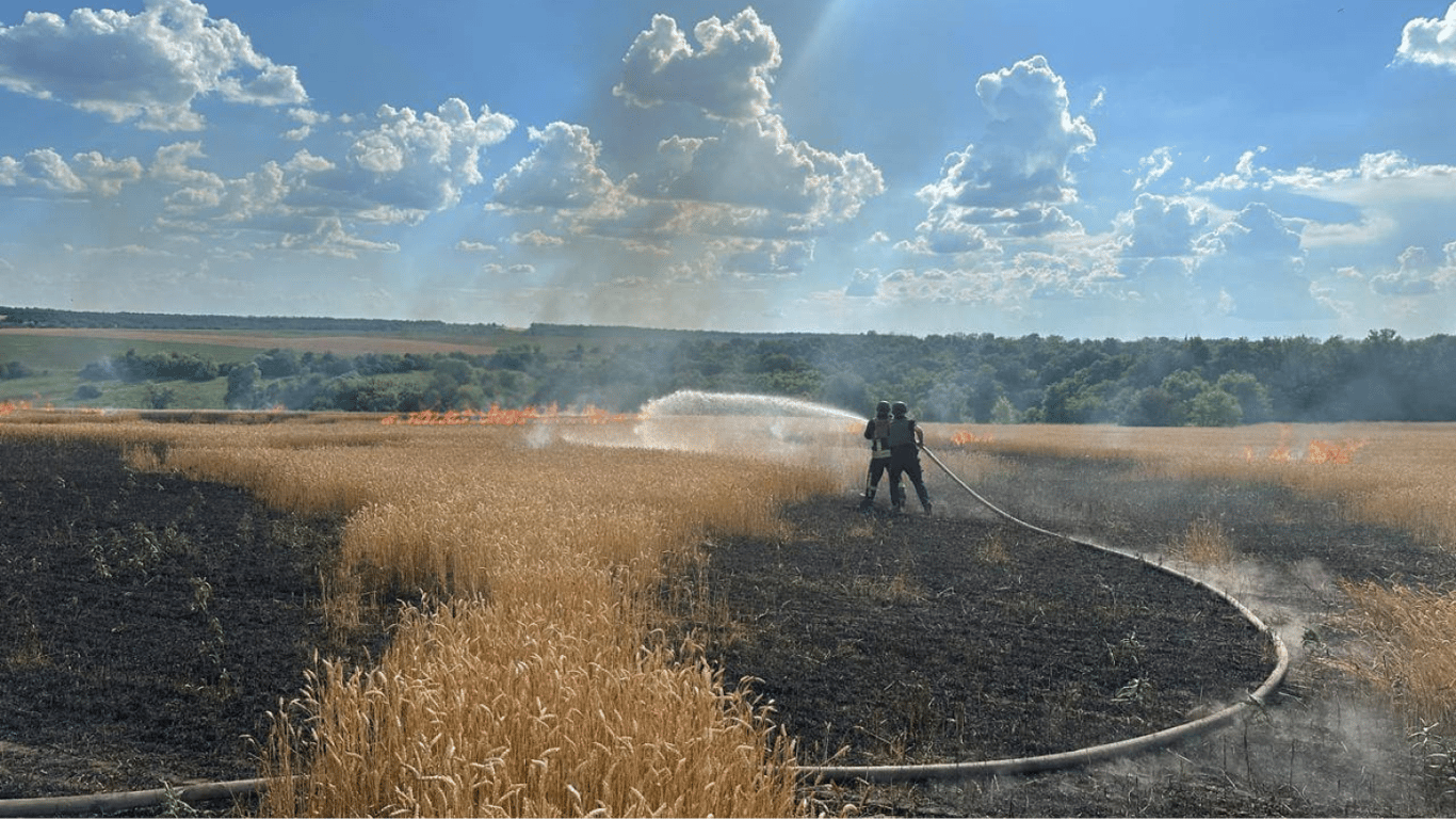 Россияне обстреляли хлебное поле на Харьковщине — что известно
