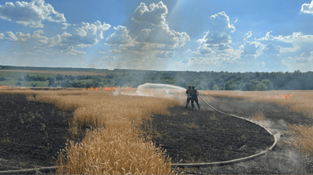 Окупанти винищують врожай на Харківщині — горів хлібний лан - 290x160
