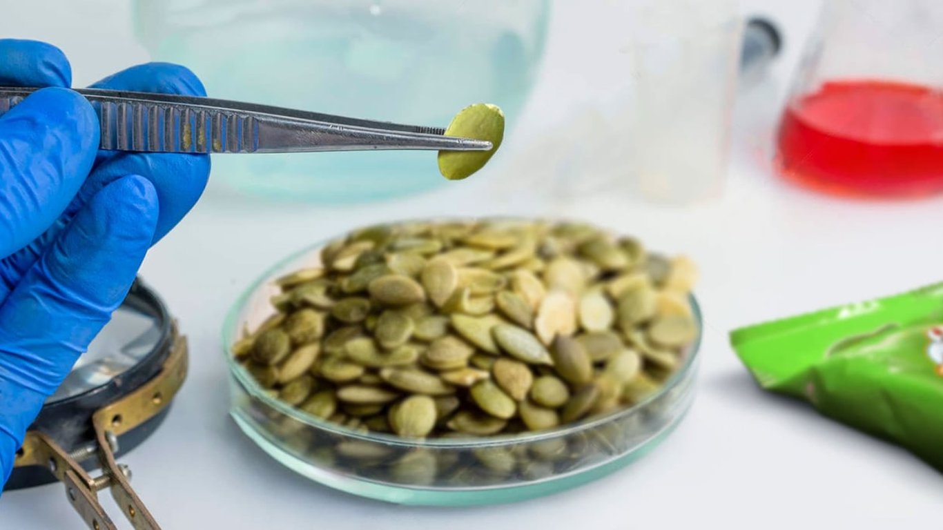 Користь гарбузового насіння – медики розкрили неймовірні властивості