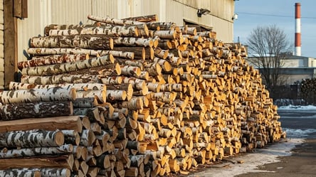 Цены на дрова в Украине — сколько получится купить на 30 000 грн - 290x160