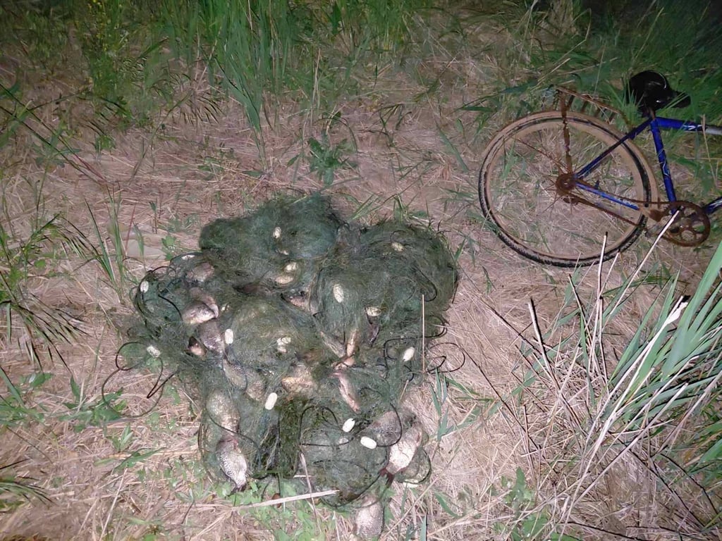 Браконьєрські сітки