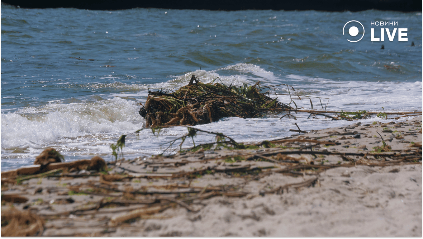 Сміття на одеському пляжі після трагедії на Каховській ГЕС. Фото: Новини.LIVE/ Юлія Браславська 