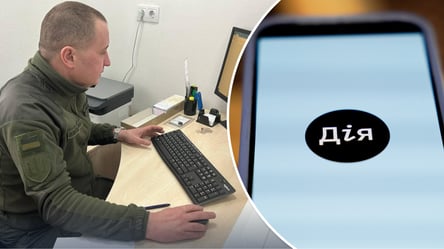 ТЦК может объявить в розыск после запроса справки из "Дія" - 285x160