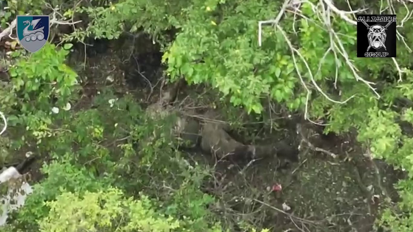 Миколаївські морпіхи показали, як знищують окупантів: відео