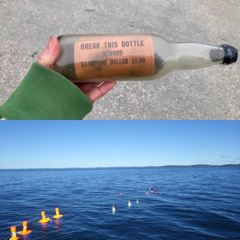 Бутылка с посланием и море, где ее нашли