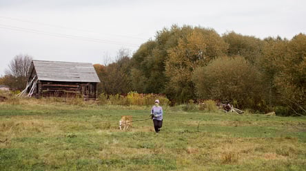 Продажа земельного участка — что стоит учесть перед сделкой - 285x160