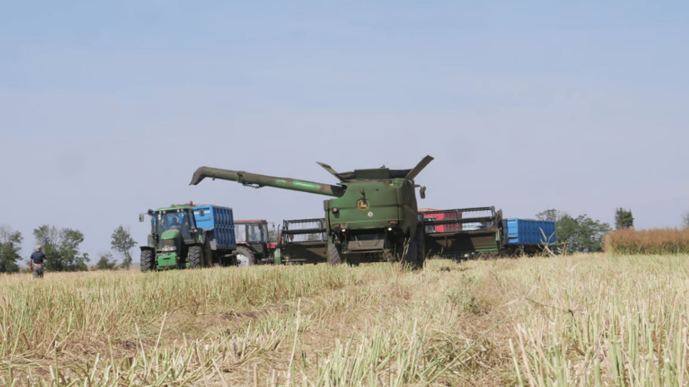 На Сумщині окупанти вбили комбайнера під час збору врожаю