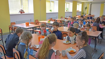 Кто из детей имеет право на льготное питание в учебных заведениях: перечень - 285x160
