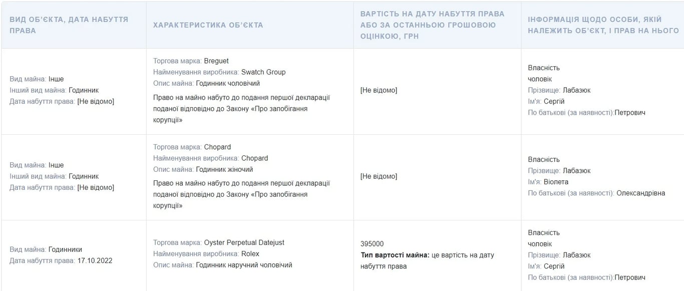 Декларация Виолетты Лабазюк. Фото: скриншот