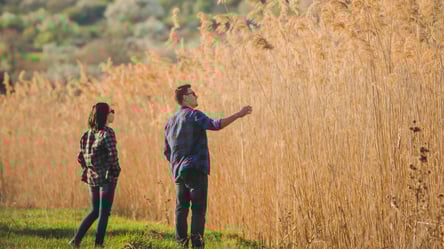 Обмін земельної ділянки — як правильно оформити у 2025 році - 285x160