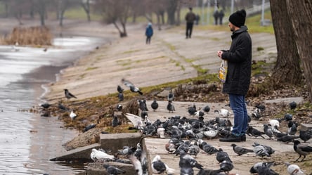 Будет гроза перед морозами — прогноз погоды на завтра в Харькове - 290x166