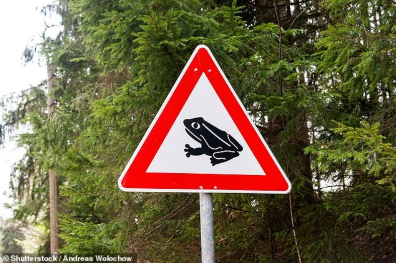 Europe's most misunderstood road signs — a selection — photo 1