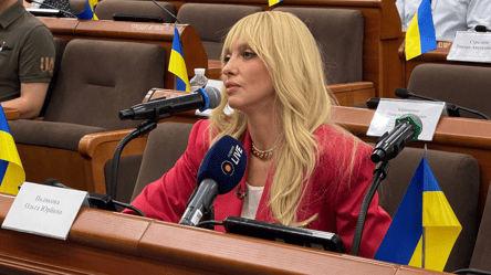 Полякова пришла на заседание ВСК Рады: требует пересмотреть правила Нацотбора - 285x160