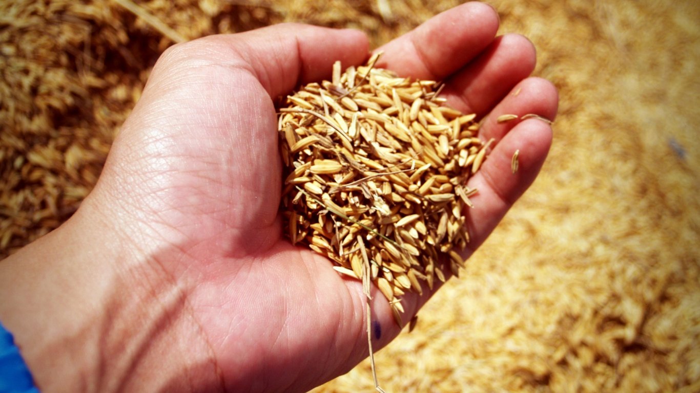 Еврокомиссар предложил во второй раз продлить запрет на импорт украинского зерна