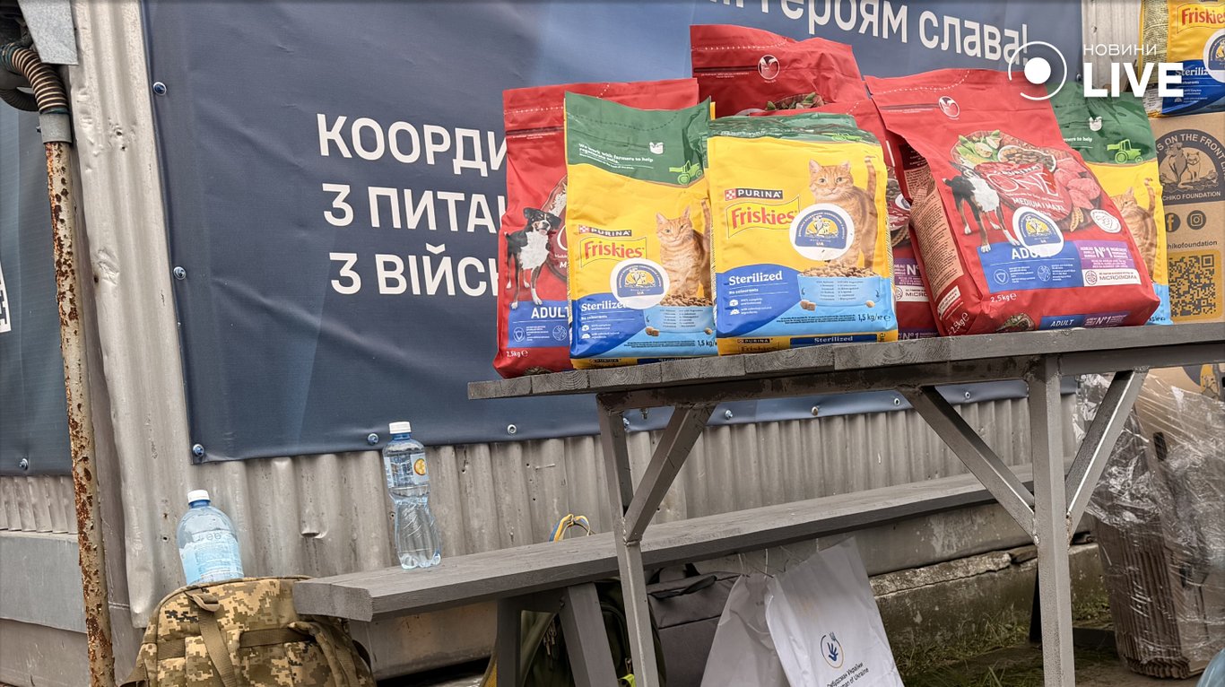 В Украине готовятся встречать людей, выезжающих из оккупированных Олешек - фото 1
