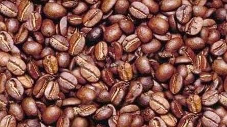 Жуткая головоломка — найдите лицо среди кофейных зерен за 10 секунд - 285x160