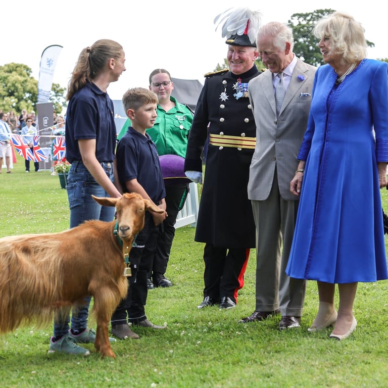 Чарльз ІІІ подарував породі кіз королівський титул. Фото: instagram/theroyalfamily