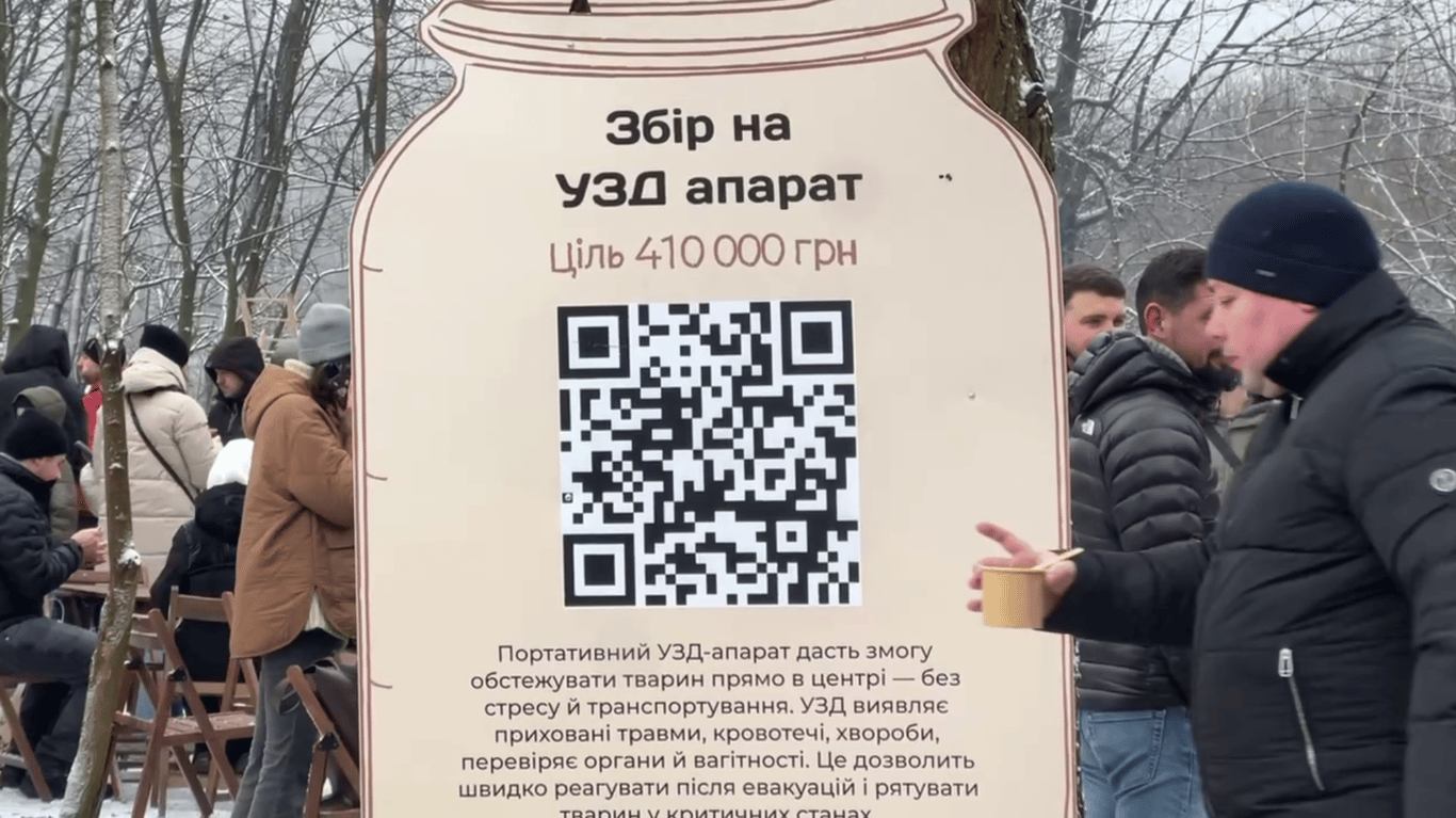 Заради найслабкіших — у Львові допомагали рятувати тваринок - фото 1