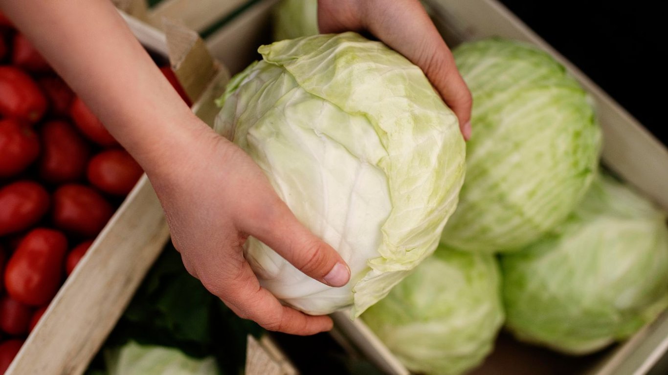 походит ли капуста для квашения 