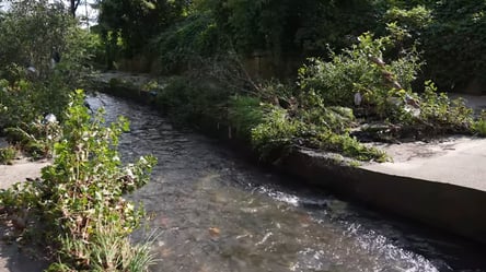 Мільйони на очищення Либідь — експерт сказав, як спливають гроші - 285x160