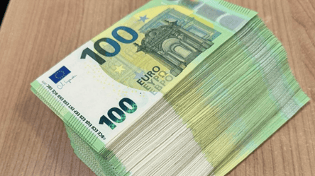 Чемодан с деньгами — На границе с Одесчинойзадержали иностранца - 285x160