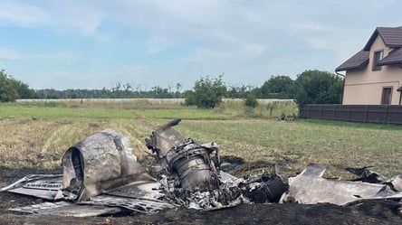 Авиакатострофа в Житомирской области: в ДБР заявили о начале расшифровки "черных ящиков" - 285x160
