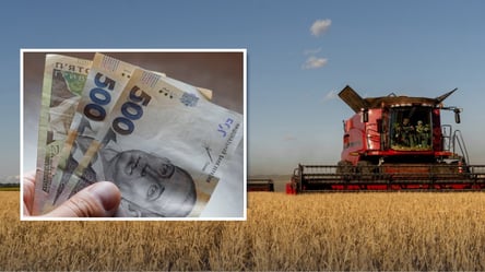 Ціни на зерно в Україні: на якій культурі можна заробити зараз - 285x160