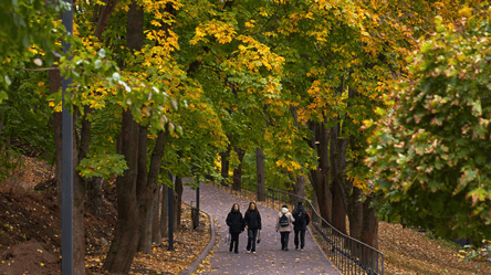На Харківщину прийдуть заморозки — прогноз погоди на завтра - 285x160