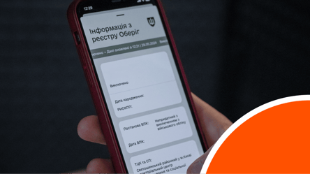 Разыск ТЦК снят, а в "Резерв+" осталось предложение о штрафе: что делать - 285x160