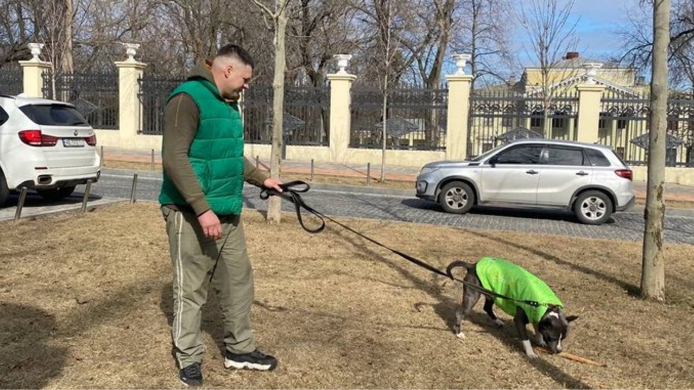 В Днепре в одной из служб такси работает собака Бени: детали